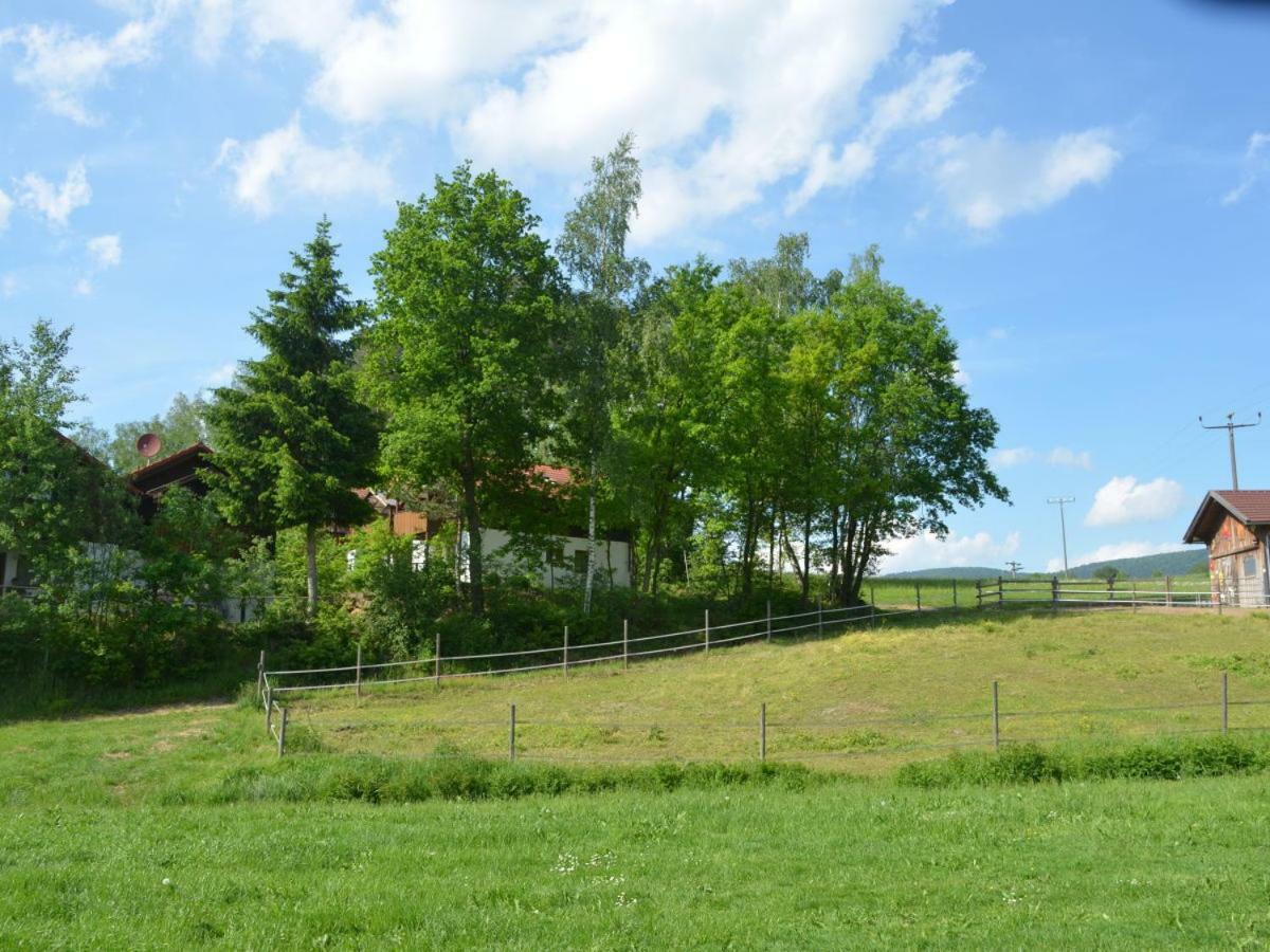 Ferienwohnung Wildgatter Grafenwiesen Esterno foto